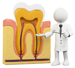 定期検診やメンテナンスを怠ると、歯の「寿命」が縮む？
